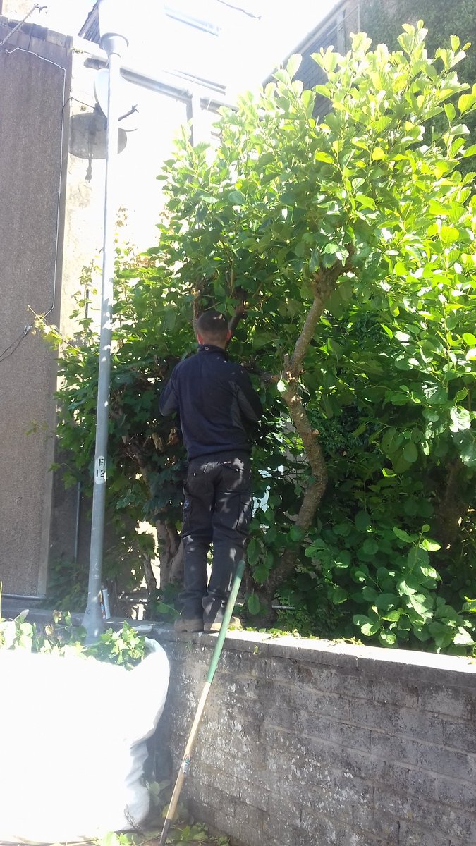 essentials_plus's tweet photo. Another happy customer, garden renovation #Greenways leading in #Voctraining  #realskills supporting our next generation @North_Ayrshire https://t.co/8IvxXosZci