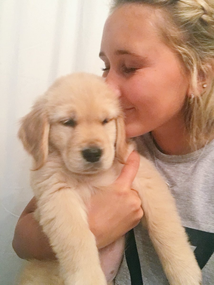 TWITTLE_2's tweet photo. The level of obsession I have for this face is unreal 🐶😍 https://t.co/wGkFLUkPtV