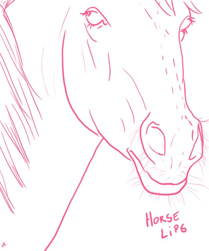Izmarvelous's tweet photo. I was one of those girls, those girls who draw horses. #WarmUp #sketch #Practice #horselips 🐴 https://t.co/Pbb5tnrXYe