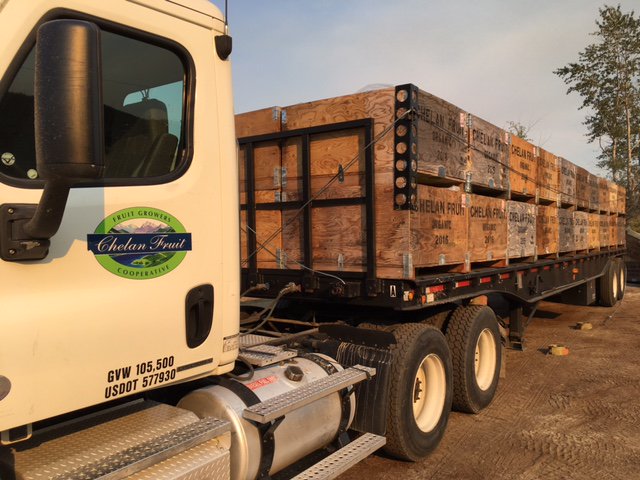 ChelanFresh's tweet photo. Freshly harvested Organic Bartlett #pears! π
#organic #pearharvest #chelanfreshpears https://t.co/Fx2SpNkUas