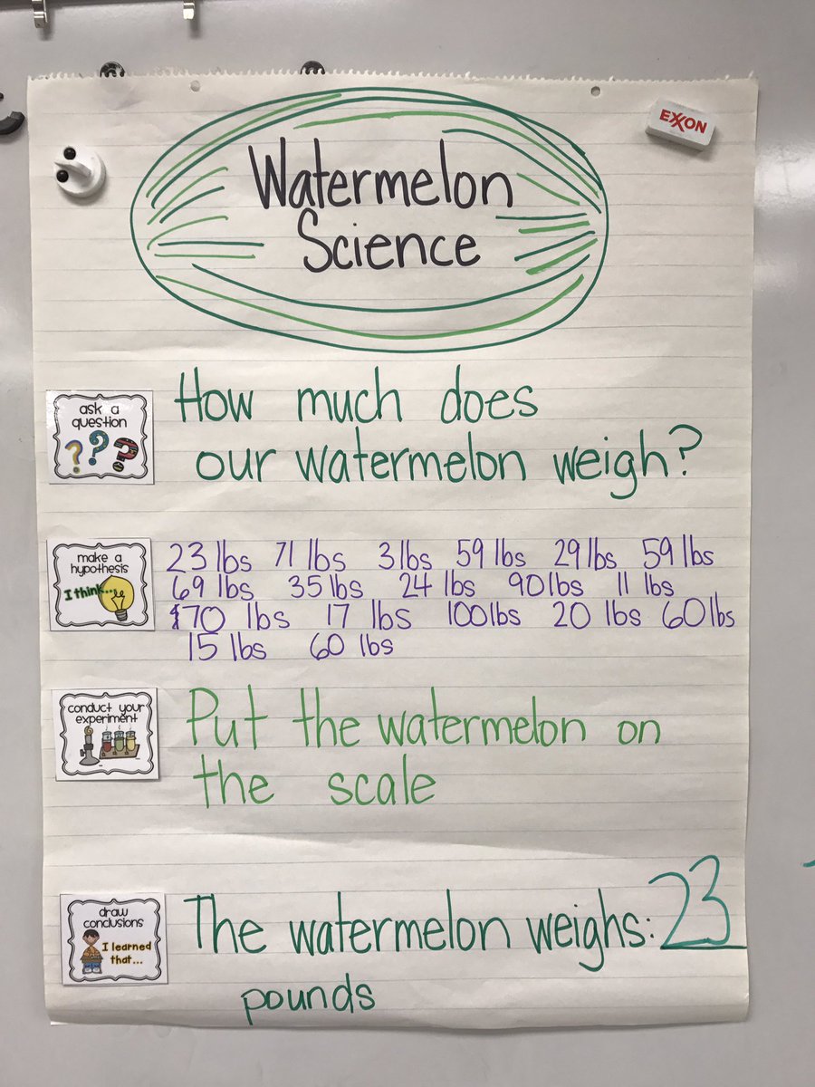 MsBarton_dsisd's tweet photo. Learning the Scientific method with a watermelon! Thanks @reagantunstall 4 inspiration!  #iamwses #iamdsisd #DSISDChat https://t.co/n1yTYB5Mib