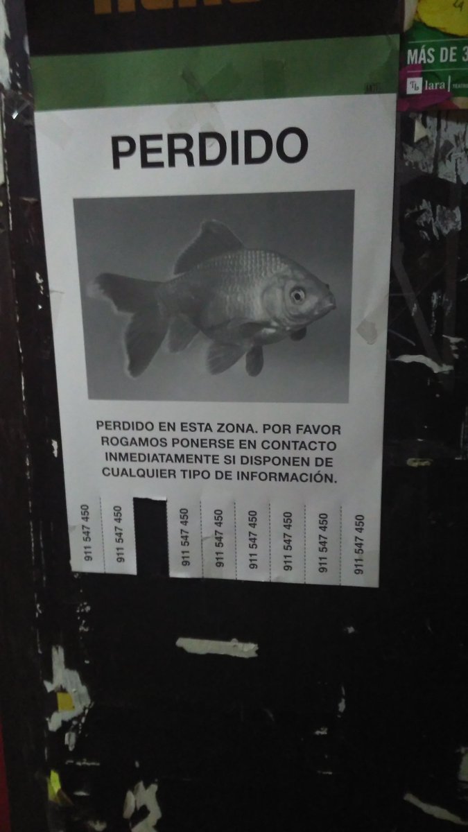 Se agradece RT. #missing #goldenfish #lavapies