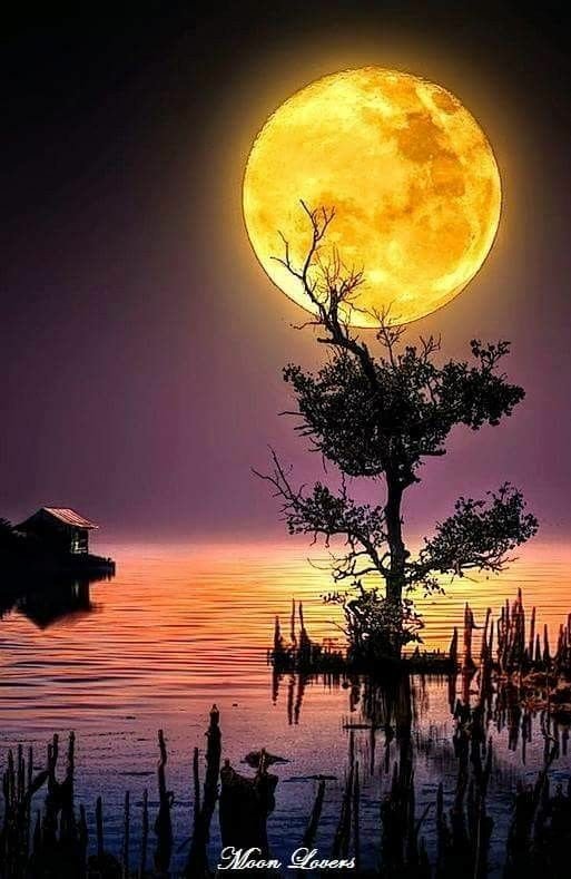 Adriano #TIM BETA (@adrianolima1129) on Twitter photo 