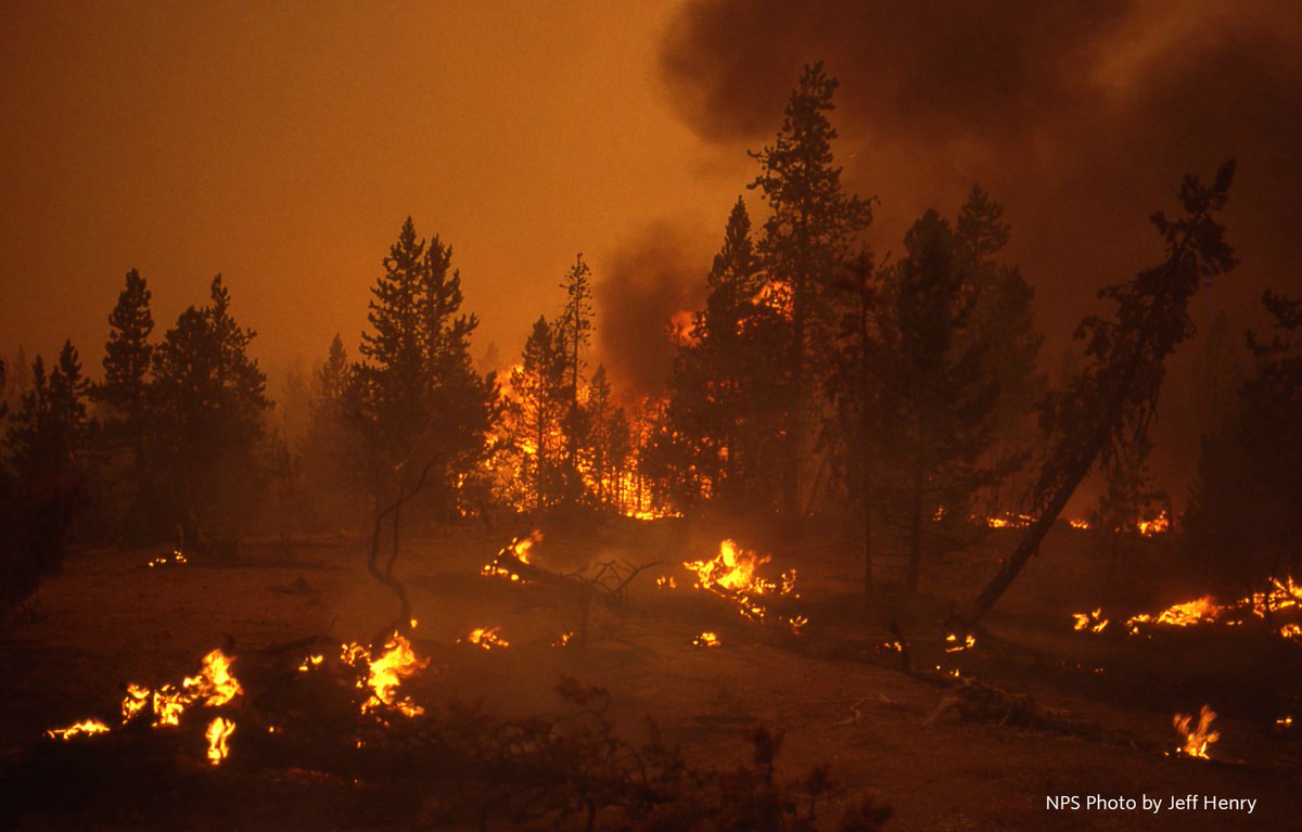 nature_ny's tweet image. By investing in healthy forests, we can reduce the risk of wildfires. More from @nature_org @LynnScarlett1: bit.ly/2vopvi6 #FireFix