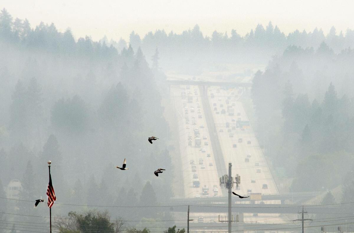 The Malted Mutt tweet media