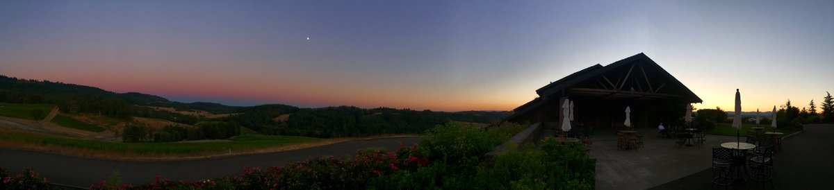 Sunset at the #vineyard