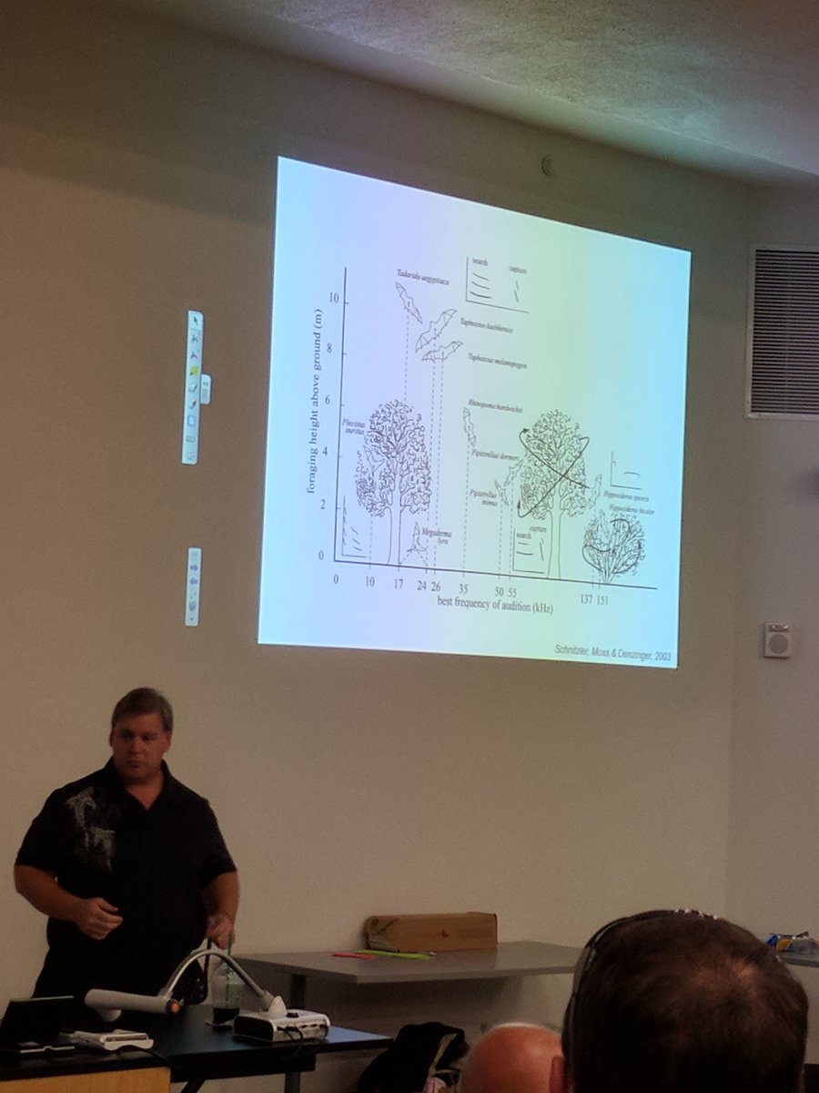 First seminar of fall 2017! Dr. Mike Smotherman: Bat Behavioral Strategies for Improving Sonar Performance in Groups <a href="/TAMU_Biology/">TAMU Biology</a>