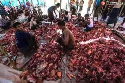 اصبحت أجساد اخواننا في #بورما لحمآ ومرقآ تاكلها اعداء الله
الا متا سنضل صامتون