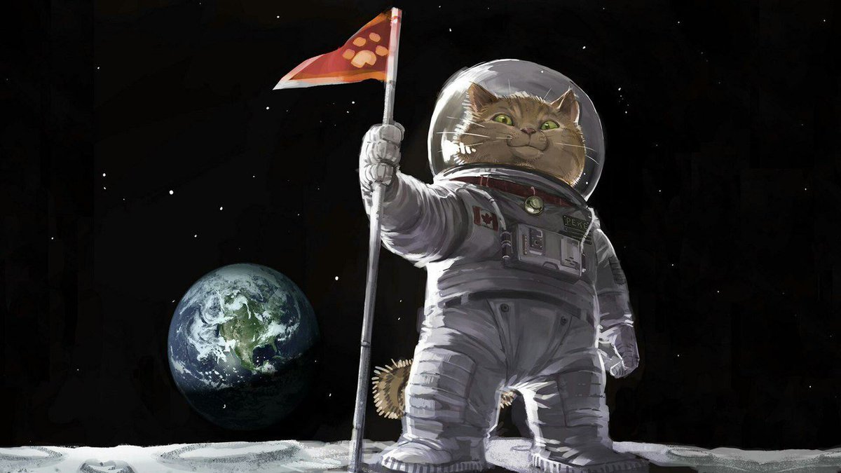 Луна будет наша! :)))
