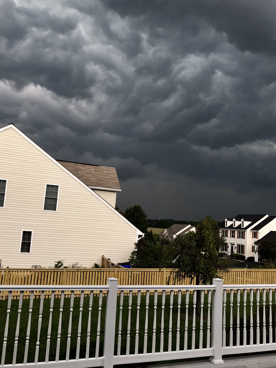 Andinuke's tweet image. #DogWalkerProblems ⛈⚡️ #FrederickPetBuddies