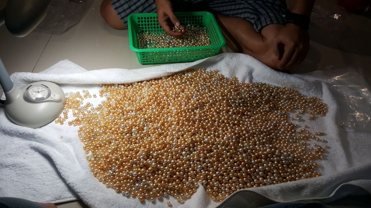 rodhy_scrab's tweet image. wholesale PEARLS
INDONESIA  🏡 MATARAM LOMBOK
 whatsapp ☎ +6281803636077
    wechat :     rodhy_scrab
 
lombokmutiara.co.id