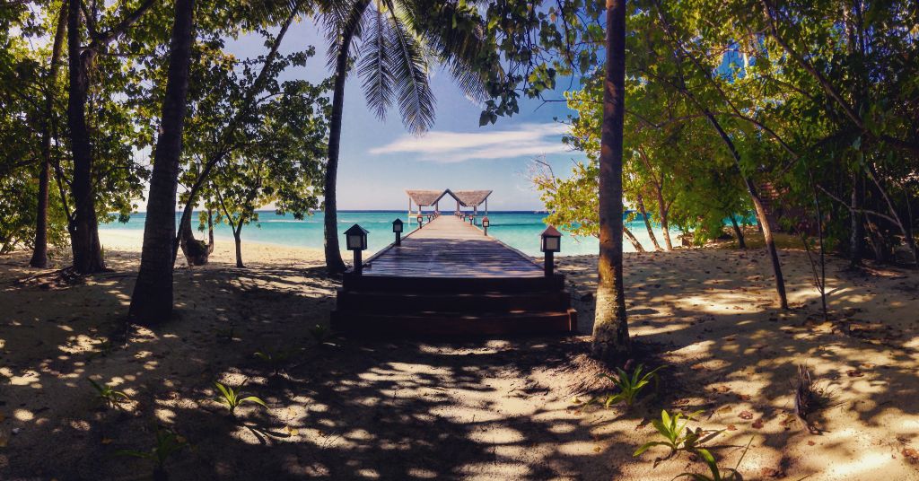 pbmaldives's tweet photo. One of our most pictured Spots of the Island..

#Paradise #Tropicalisland #Maldives #Indianocean #Islandlife #Takeabreak #Summervibes #Palms https://t.co/Ph1CvPjKix