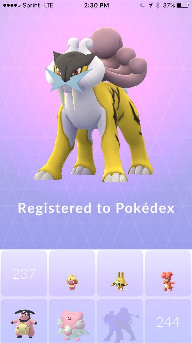omcoolman's tweet photo. Caught my first legendary Pokémon today #Raikou #pokemongo #legendaryraid https://t.co/EIFJBHCheH