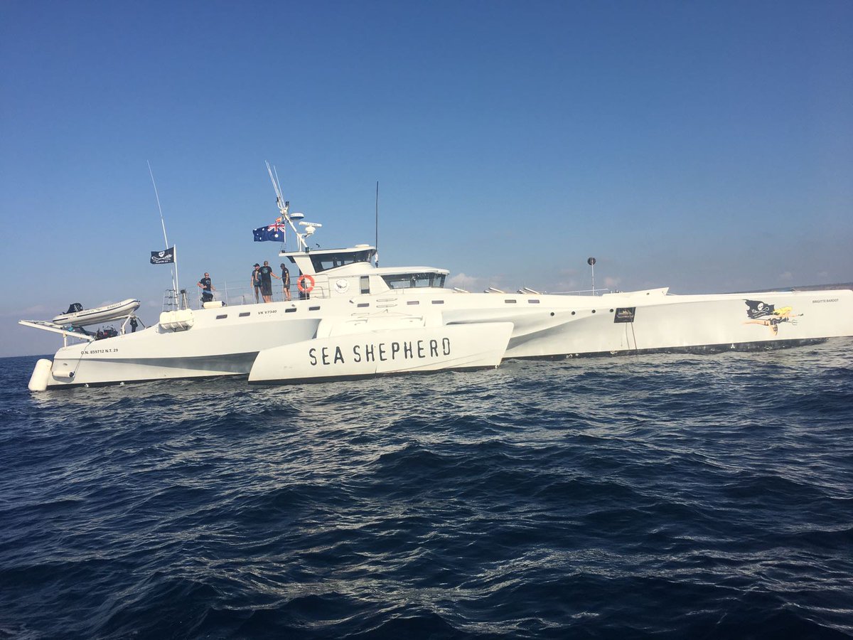 Clean_Beach_SP's tweet photo. Santa Pola con Sea Shepherd  operación mare Nostrum 3 quitando redes fantasmas con proyecto clean Beach, Antias Buceo y cofradía pescadores https://t.co/B4erGsmmcH