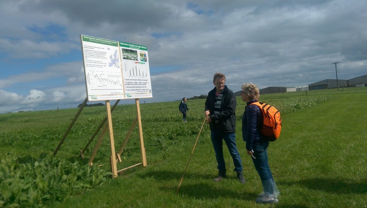 Soilmicrobio's tweet photo. @Johnfinn310 talks about the productivity and resilience benefits of multispecies grassland swards #RAMIRAN2017 https://t.co/tKD6pM0BVu