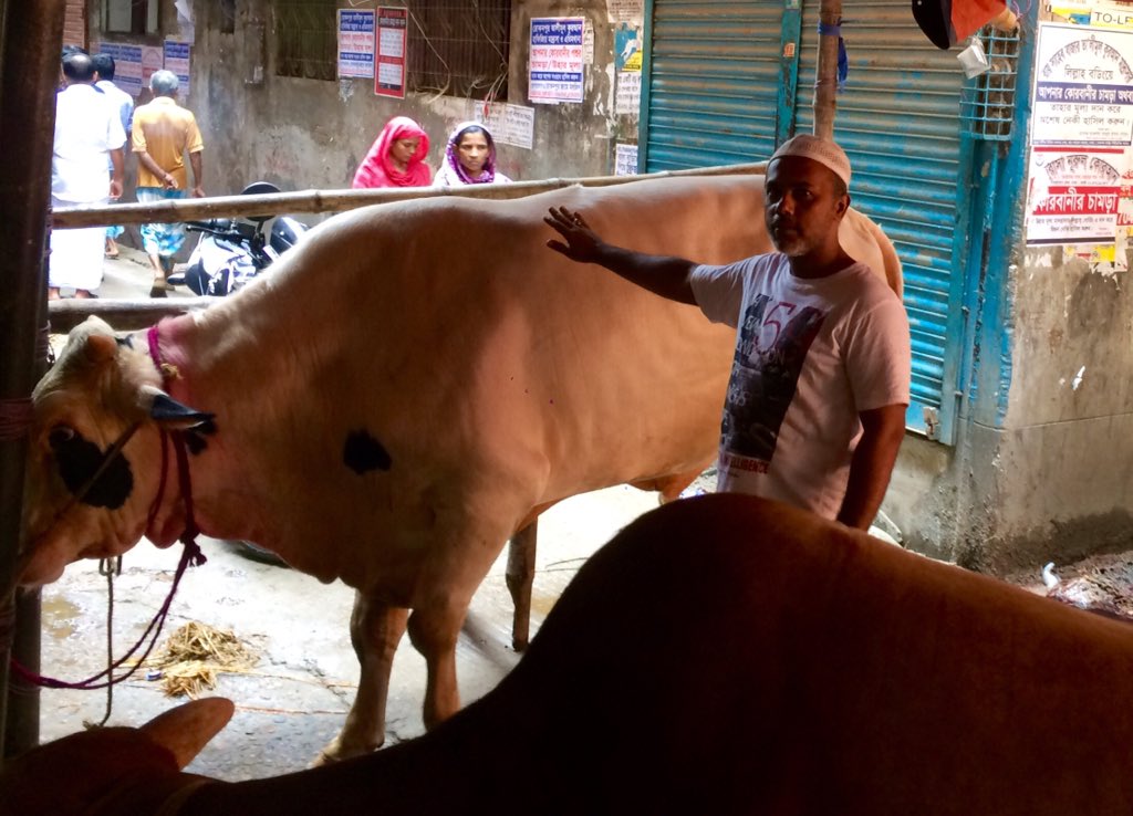 Rubel (@rubel67093753) on Twitter photo 