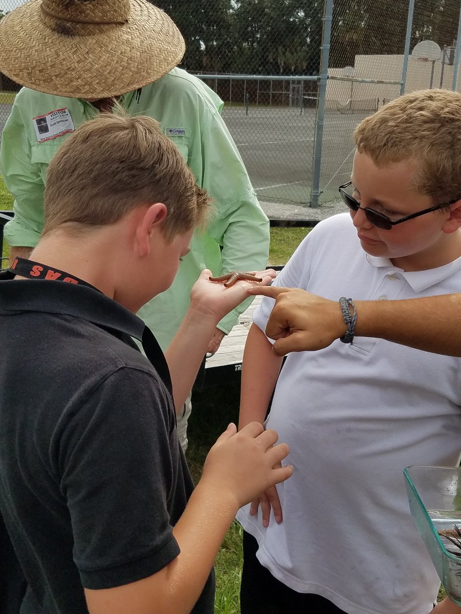 AmyCarey79's tweet photo. Hands-on learning with some of Florida's marine life in Outdoor Pursuits class today. #NSBMS https://t.co/N8sy8TJr1e