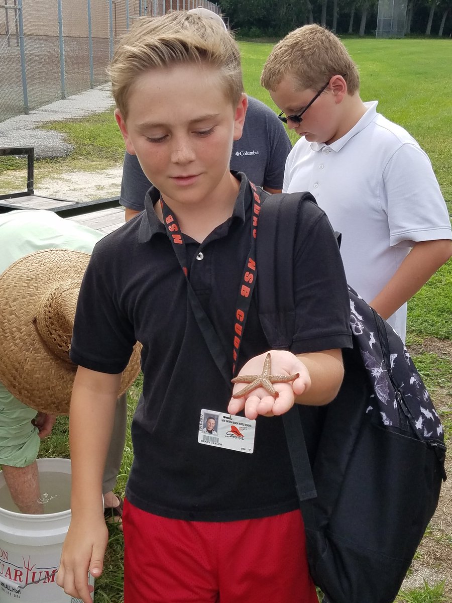 AmyCarey79's tweet photo. Hands-on learning with some of Florida's marine life in Outdoor Pursuits class today. #NSBMS https://t.co/N8sy8TJr1e