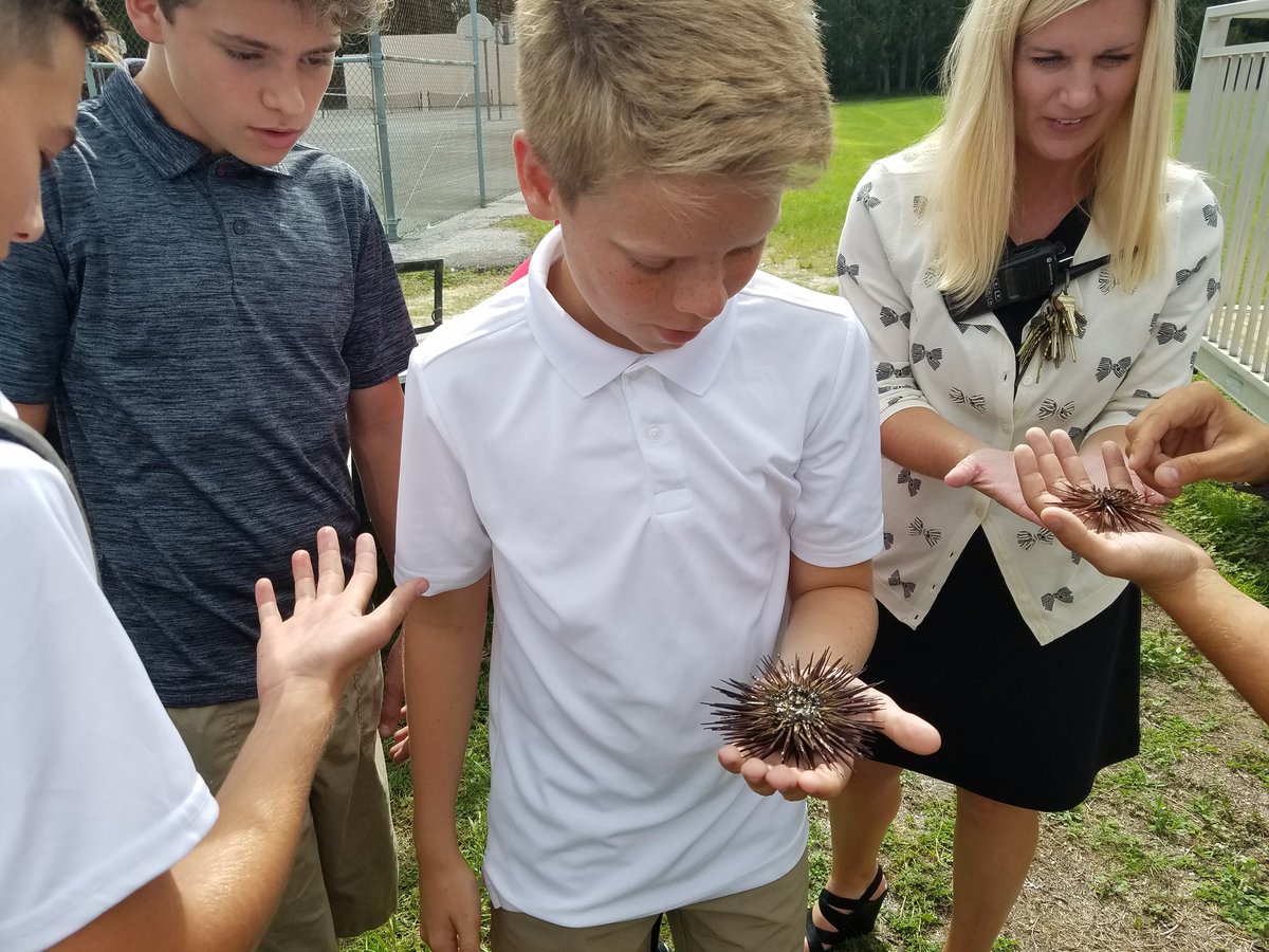 AmyCarey79's tweet photo. Hands-on learning with some of Florida's marine life in Outdoor Pursuits class today. #NSBMS https://t.co/N8sy8TJr1e