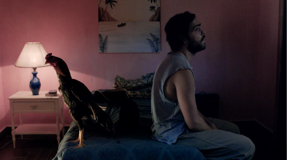 cinefiloserial's tweet photo. #UnGalloParaEsculapio se pone cada vez mejor. Acá te damos algunas razones de por qué no te podes perder esta serie: https://t.co/Ufal4v4EDJ https://t.co/OIpwbK5r4b