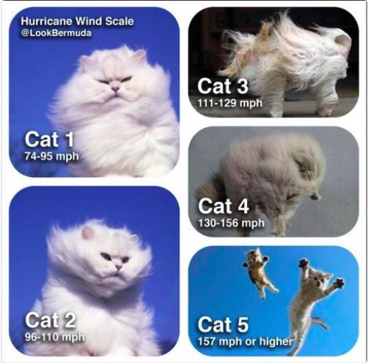 travelandfish's tweet image. To help all you non Floridians understand The Categories! 🙏🏻 for the safety of all! #Cat5 #HurricaneIrma #IrmaHurricane #FloridaKeys