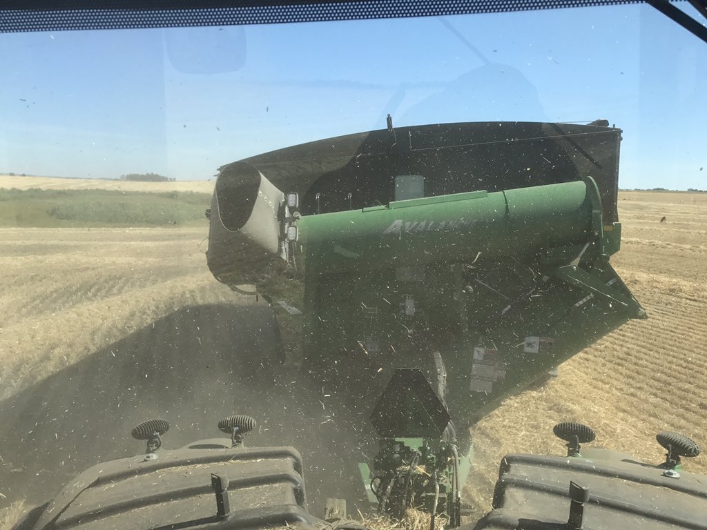 farmfal2016's tweet photo. Some women tend to find themselves behind a shopping cart whereas this time of year I am more likely in front a grain cart #harvest2017 https://t.co/hpzLJhElZj