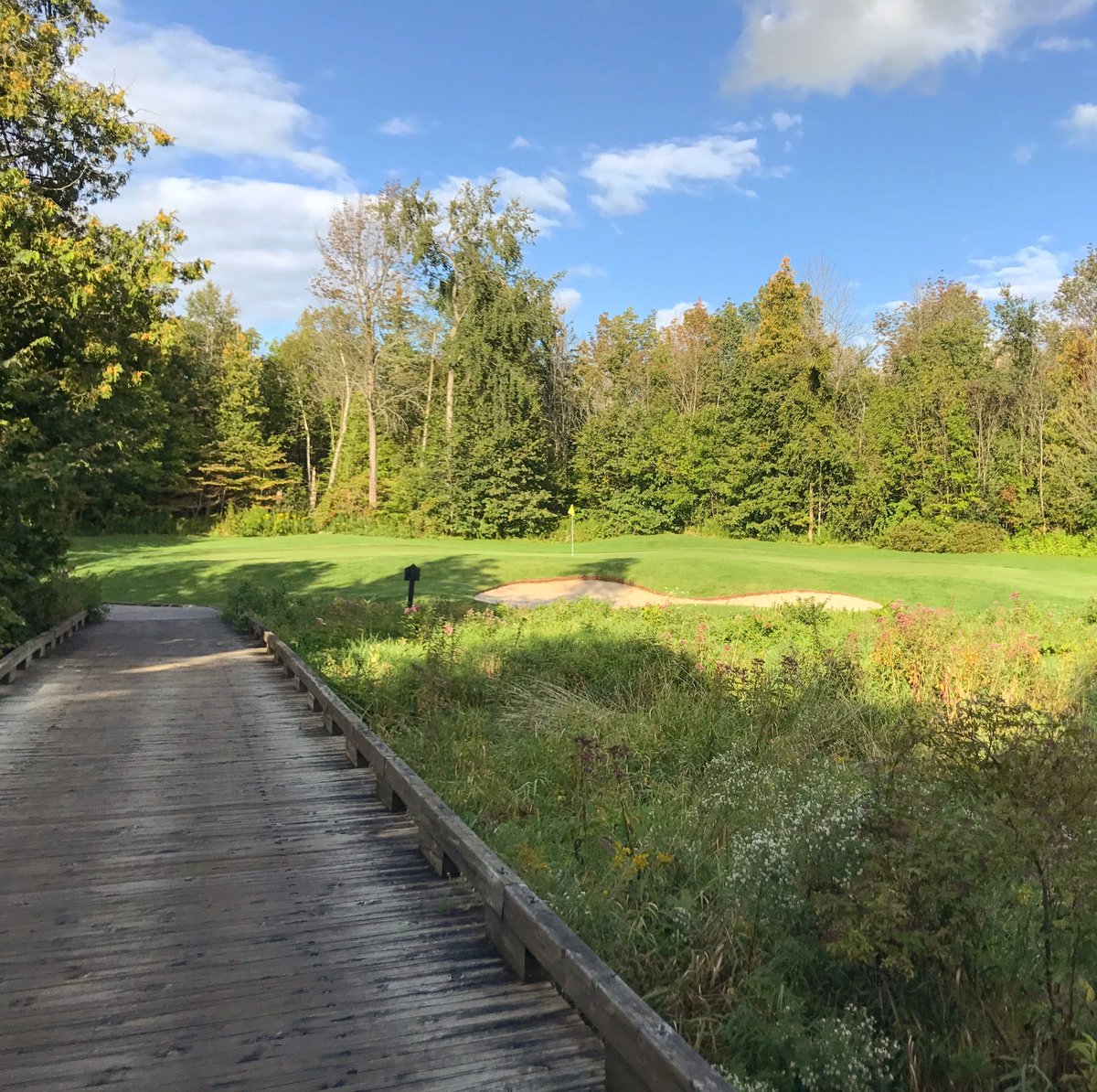This week's host club: Beautiful @NationalPinesGC ⛳️👌