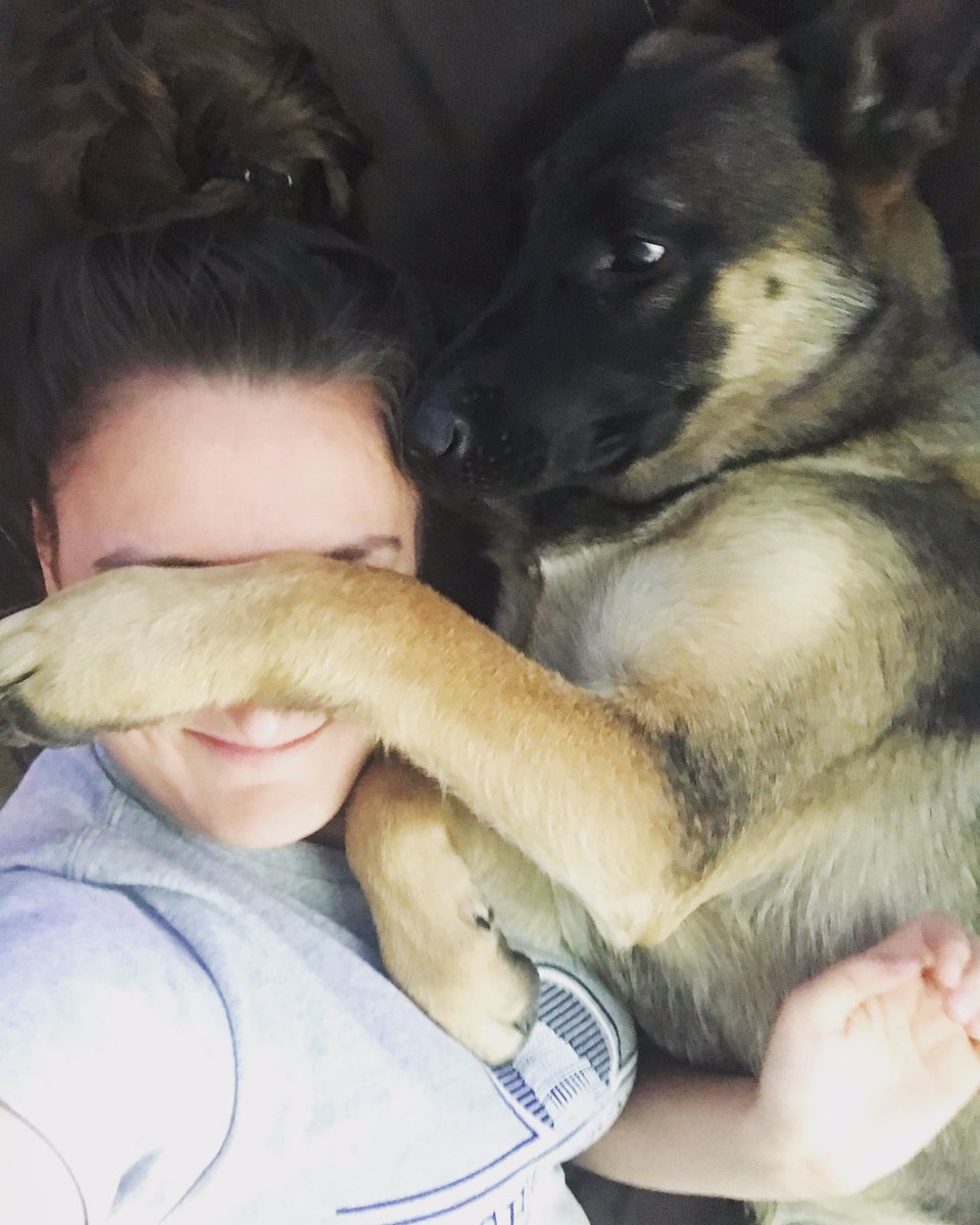 sabinanumanovic's tweet photo. When doggo doesn't want you to watch the bad parts of the movie https://t.co/V5mxM60OLI