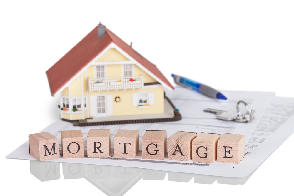 CreditMount tweet picture