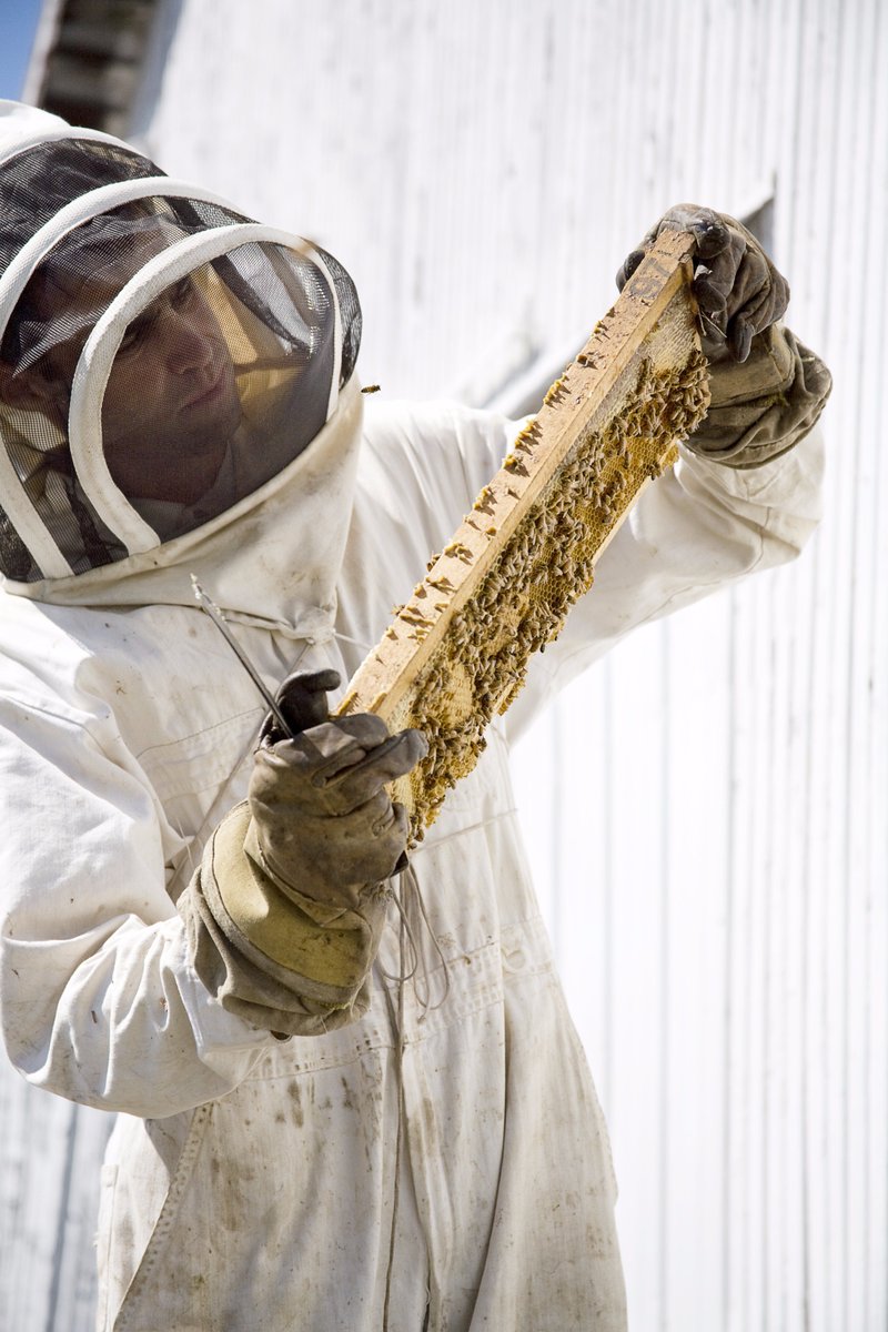 GloryBeeFoods's tweet photo. What would you do with 100 pounds of honey? Become a beekeeper and enjoy ALL the benefits bees bring. https://t.co/yw44hrz2QB