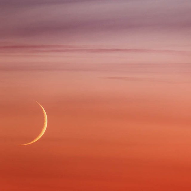 day_of_yeshua's tweet photo. “Every month on Rosh-Hodesh [New Moon] and every week on Shabbat, everyone living will come to worship in My presence!” #Yeshua #Is66 #CJB https://t.co/YHaokohHbH