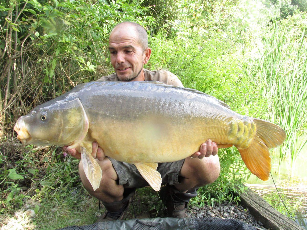 LeeThom79608424's tweet photo. #baitmonkeybaits #teamsharptackle #teamhardcore #mattpukkaparticles #teamtritontackle https://t.co/aouqUQgml6