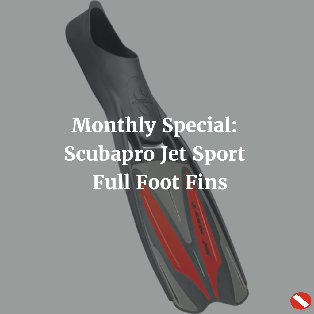 leisurepro's tweet photo. Save $26 on the @Scubapro #JetSportFullFootFins for all of September! #LPmonthlyspecial https://t.co/2SpftGKdQA https://t.co/G5fARmJG4a