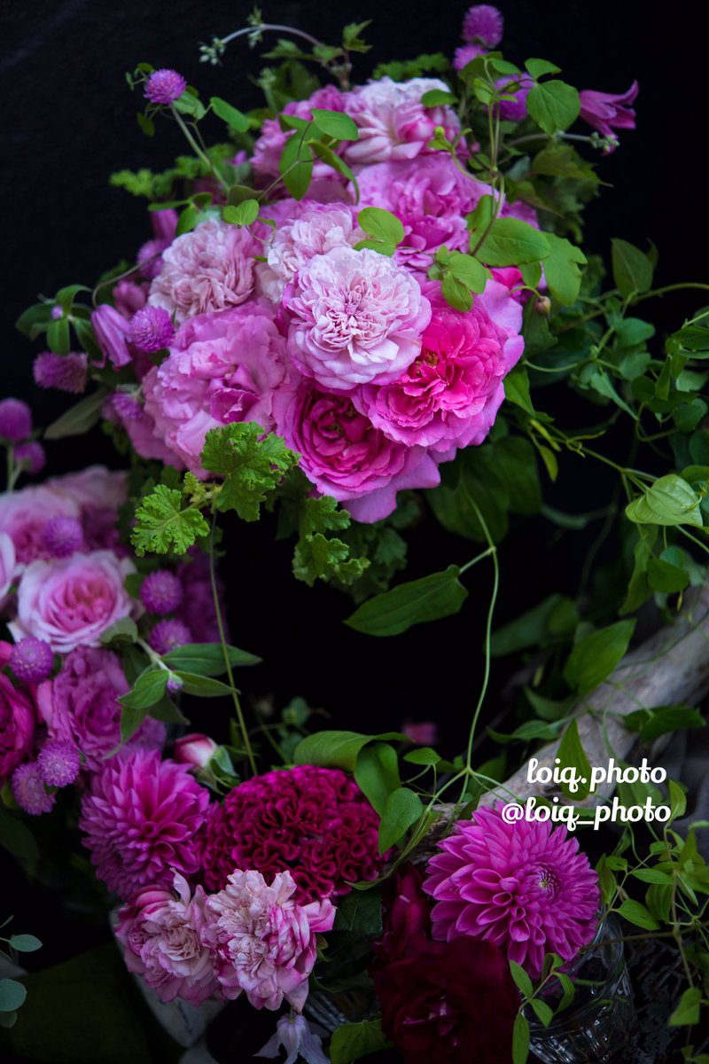 loiq_photo's tweet photo. 【花】
花撮影💐
Living photo
DARK CHIC
ピンクと黒のコントラスト
#photography
#PhotoOfTheDay
#livingphoto
#darkchic
#ダークシック
#撮影
#花 https://t.co/MoQfEV4ACu