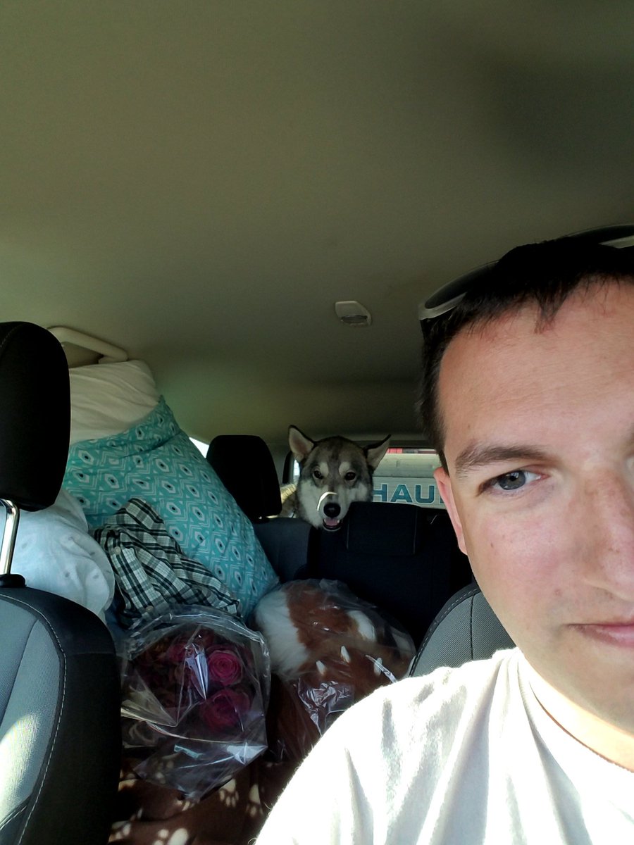 Draconicarcher's tweet image. 200 miles into the drive to az, 1600 to go!
King is riding in style, whole back of the truck is his #spoileddoggo
