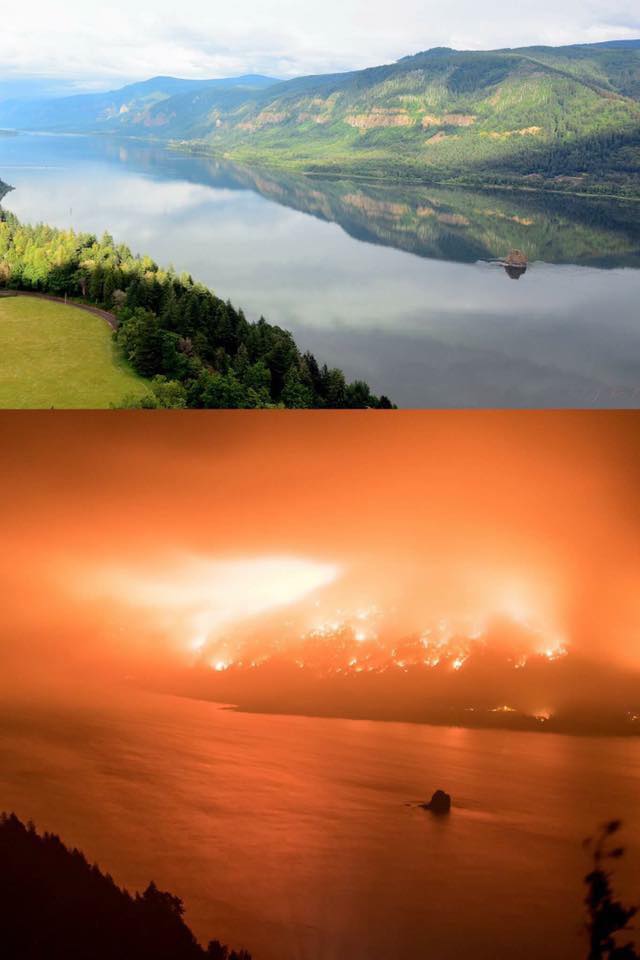 CascadeWild's tweet image. Credit: James C King
Our beautiful Columbia Gorge #EagleCreekFire 
All the tears :(