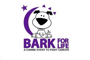 The time to #register is now! Click on the following link to participate in <a href="/Bark4LifeDupage/">BarkForLifeDupage</a>! All proceeds go to benefit the <a href="/AmericanCancer/">American Cancer Society</a>
