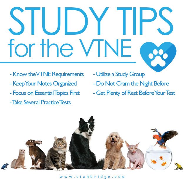 StanbridgeUni's tweet photo. Prepping for the #VTNE? Don't forget these essentials! #vettech #vt #stanbridgepride #hardworkgoodlife #careerincare https://t.co/anuIVsXhId