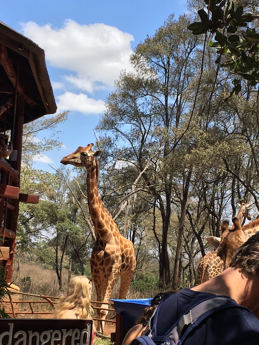 Pengutaai's tweet photo. In Kenya for my annual vacation https://t.co/ukzRZrsp6U