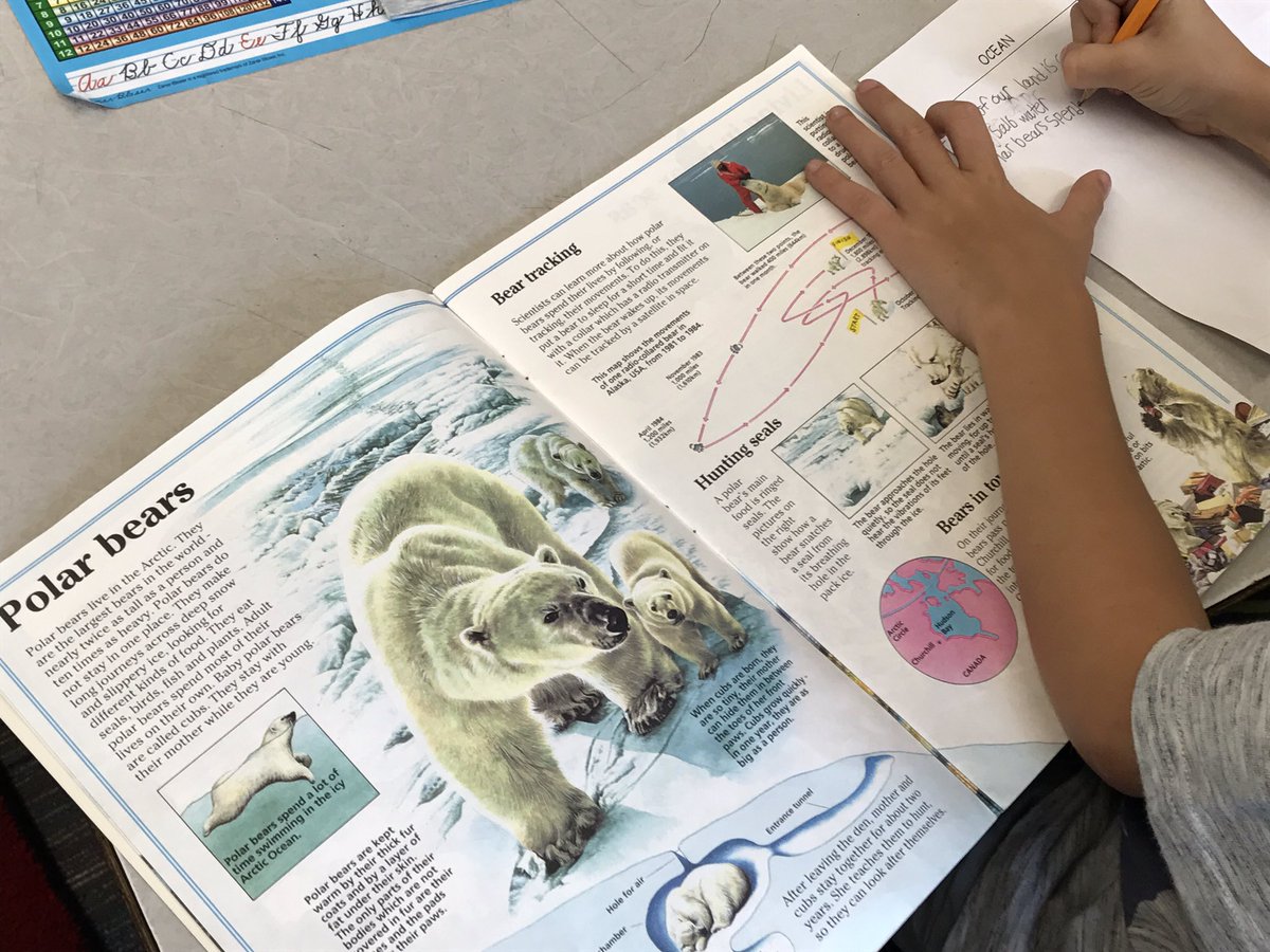 BristolBuddies's tweet photo. 3rd graders exploring ecosystems today at Bristol. #wgbuzz #bebuzz https://t.co/dRt2VsuBgG