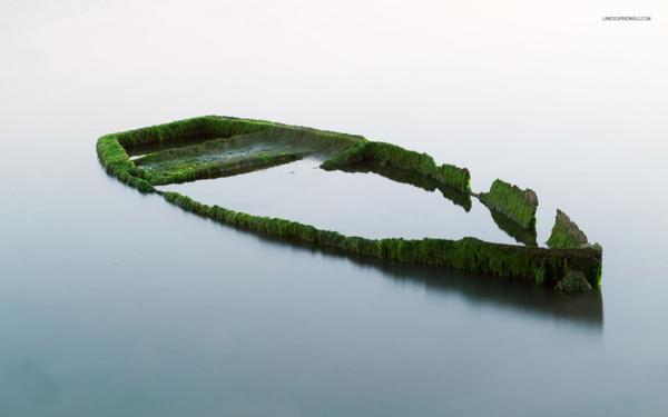ABAND0NEDPLACES's tweet photo. beauty in decay… https://t.co/Pt1cIYJSiA