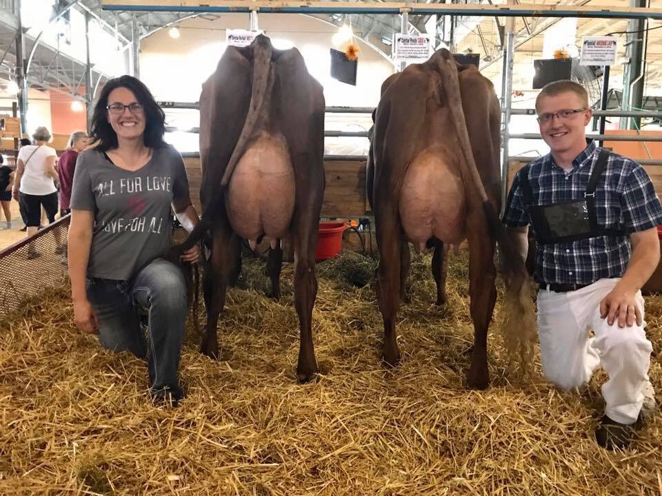 corstar's tweet image. 1st &amp;amp; 2nd Junior 2's at #mnstatefair #winning