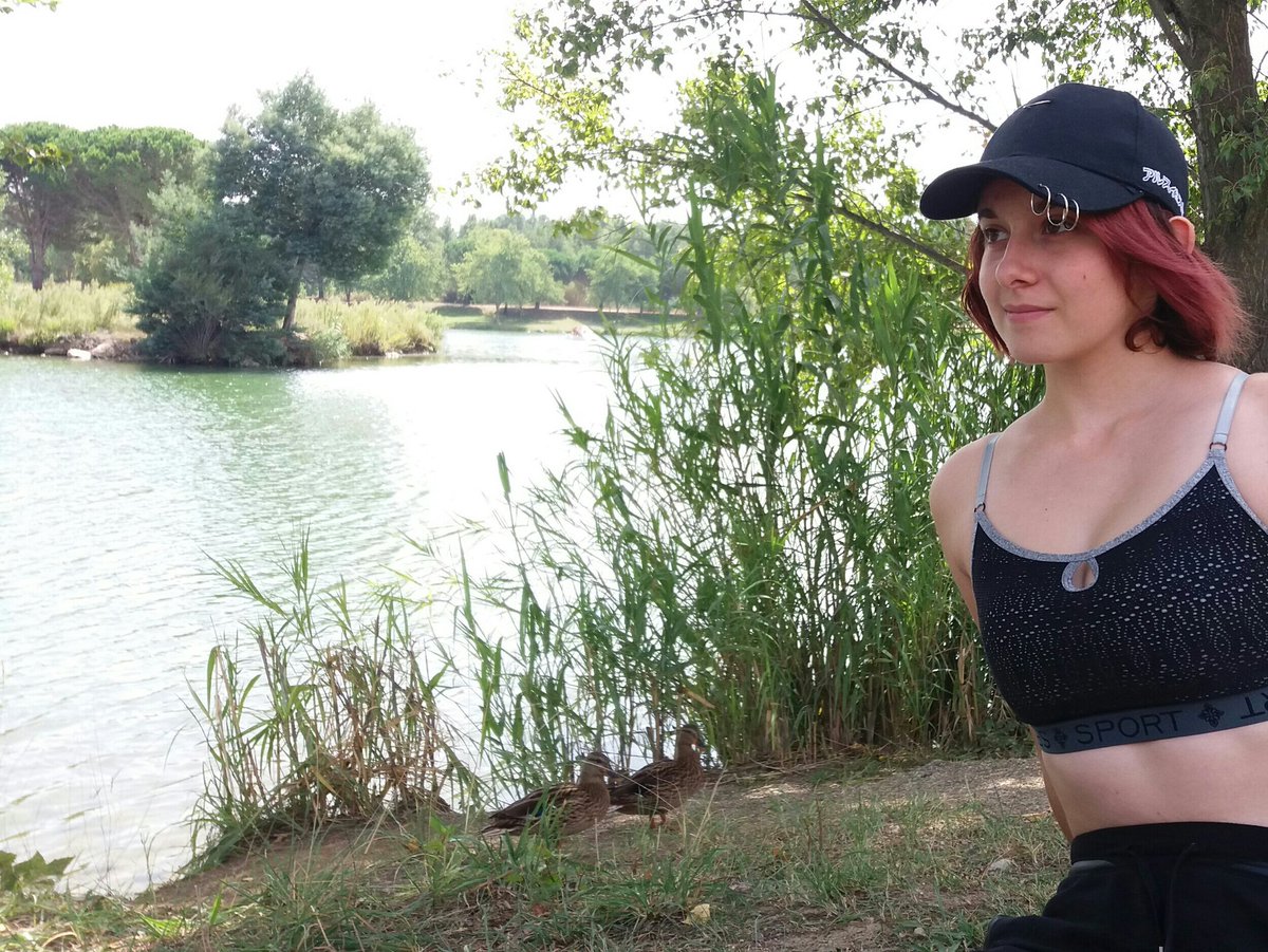 SophieFlament's tweet photo. ⛅🌳👌 #natural #wild #water #Jiyu #duck https://t.co/GI9nczSIrh