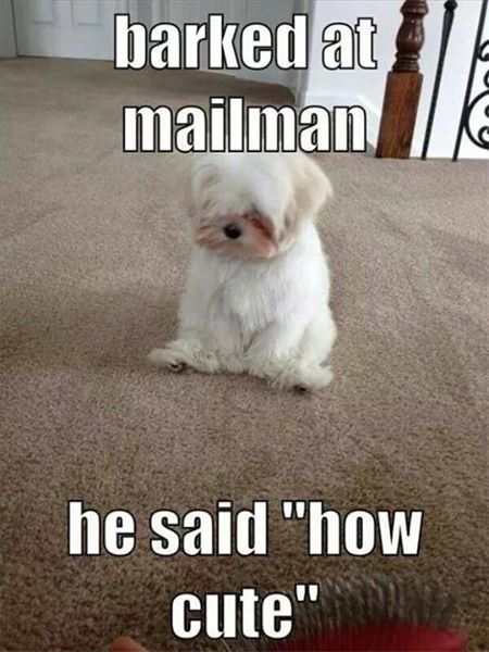 MyteBox's tweet photo. Hi π π
For More Visit : @MyTeBox
#oops #Cute #Puppy #CutePuppy #MyTeBox #SmilePlease #KeepSmiling #puppylove #doglovers #DogLover #wow https://t.co/FOKG4tLBR6