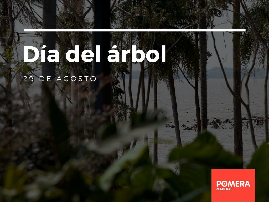 pomeramaderas's tweet photo. 29 de agosto | En #PomeraMaderas celebramos el #DíaDelÁrbol garantizando un manejo responsable de los bosques. https://t.co/QfIHRmGAfk