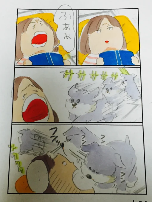 くさいのですか 
