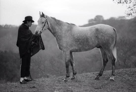 "Let us dream of tomorrow where we can truly Love from the soul, and know Love as the ultimate truth at the heart of all creation."  -MJ 🎈