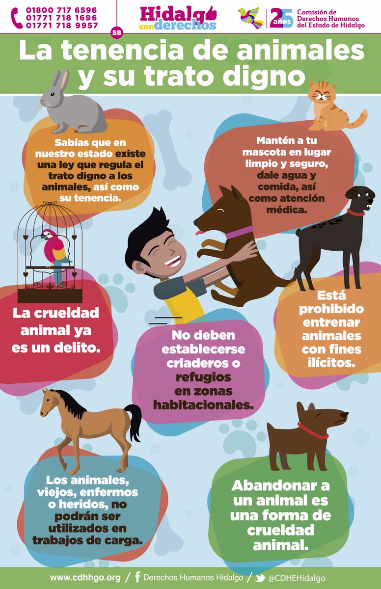 Derechos Humanos Hgo בטוויטר Sabias Que En Hidalgo Existe Una Ley Que Regula El Trato Digno A Los Animales Asi Como Su Tenencia Hidalgoconderechos 25anoscdheh T Co 0ftjh6o7l7