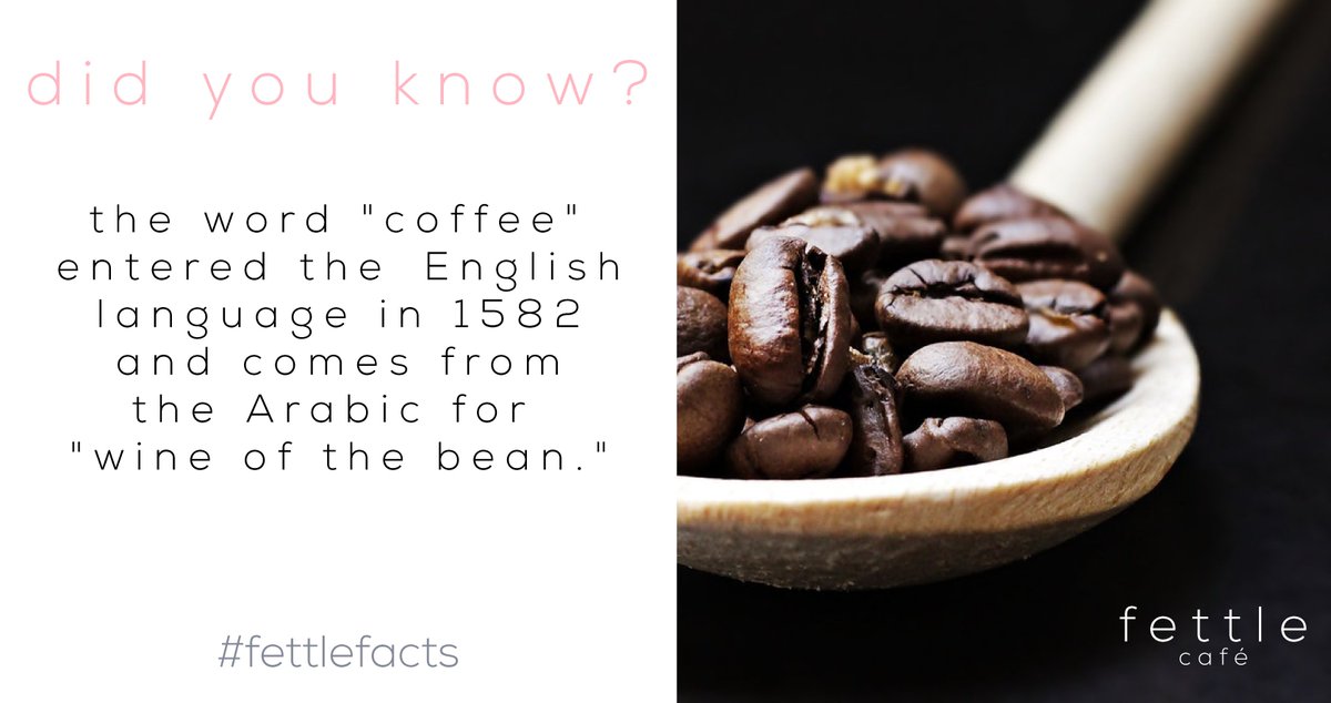 FINT_Leeds's tweet photo. Did you know this #coffee fact? βοΈ #fettlefacts https://t.co/sOu04nn8k9