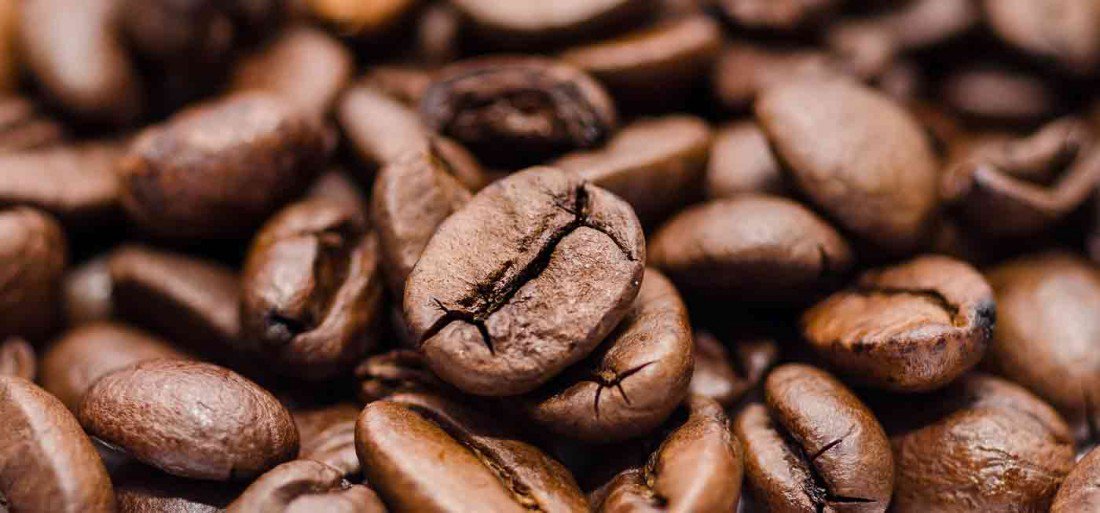 banned_coffee's tweet photo. If your day starts with a cup of coffee, here are a few more reasons to continue doing so. https://t.co/YeGdhs6whk https://t.co/RbfzcBsavK